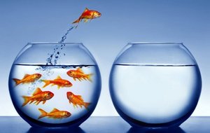 MODIFICATION DU SITE !!!!!