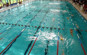 51521507b724f_P1020523.JPG