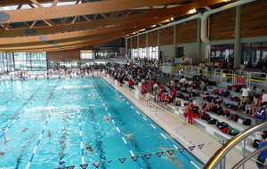 5152151387ace_P1020524.JPG