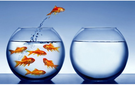 MODIFICATION DU SITE !!!!!