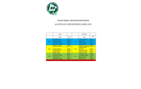SELECTION DEPARTEMENTALE POUR LA COUPE ALPC JEUNES